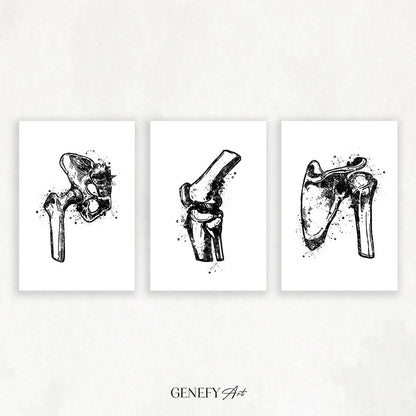 Hip Joint, Knee, Shoulder Bone Black and White Watercolour Print