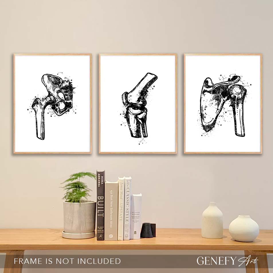 Hip Joint, Knee, Shoulder Bone Black and White Watercolour Print