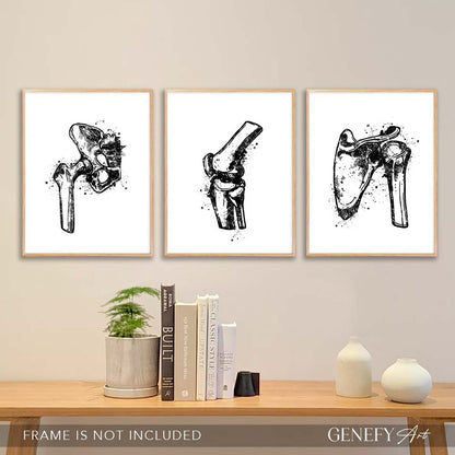 Hip Joint, Knee, Shoulder Bone Black and White Watercolour Print
