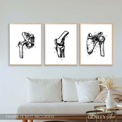 Hip Joint, Knee, Shoulder Bone Black and White Watercolour Print