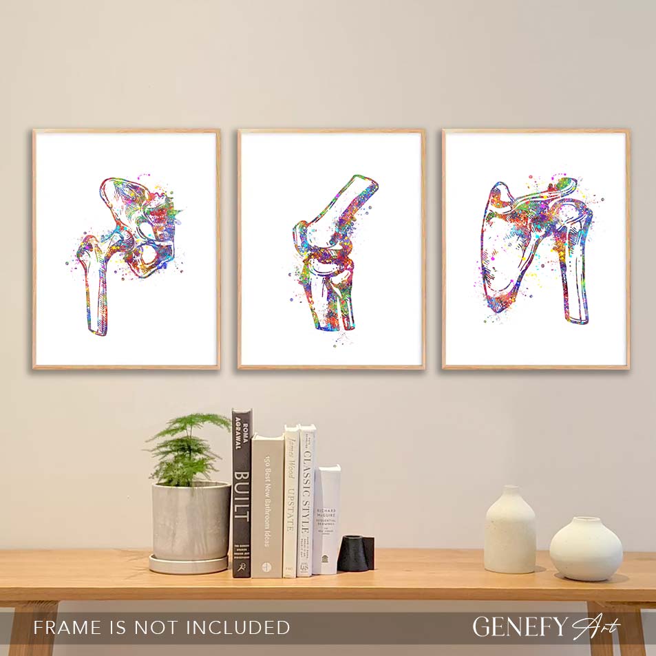 Hip Joint, Knee, Shoulder Bone Watercolour Print