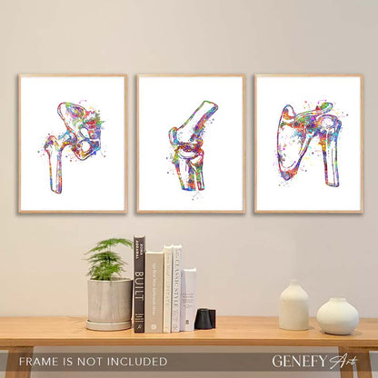 Hip Joint, Knee, Shoulder Bone Watercolour Print