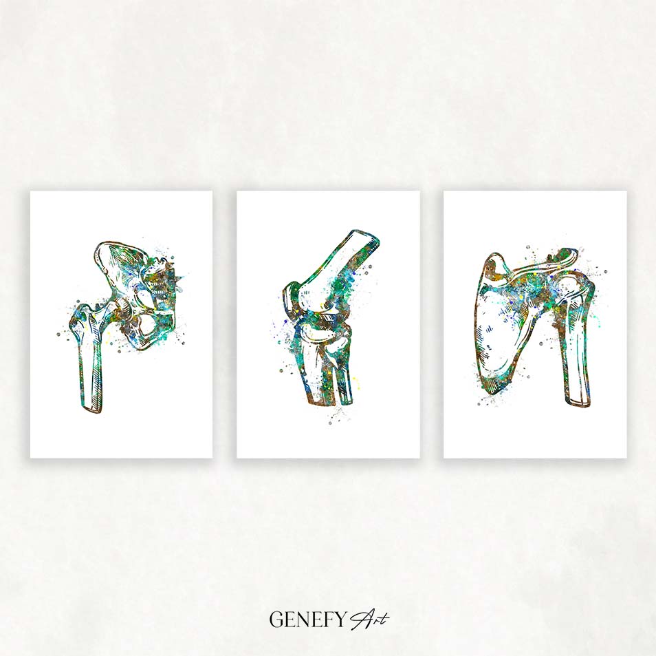 Hip Joint, Knee, Shoulder Bone Watercolour Print