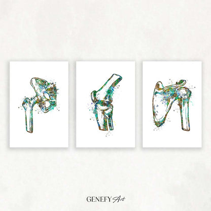 Hip Joint, Knee, Shoulder Bone Watercolour Print