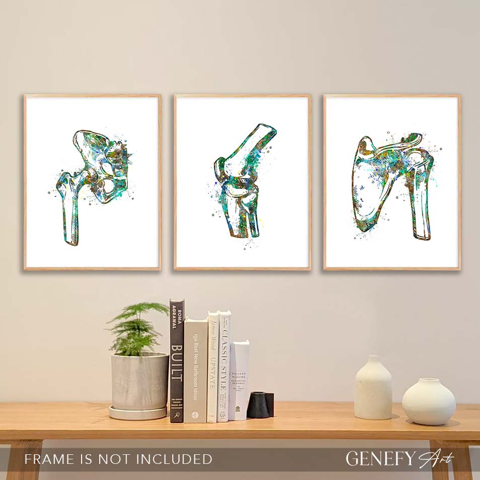 Hip Joint, Knee, Shoulder Bone Watercolour Print