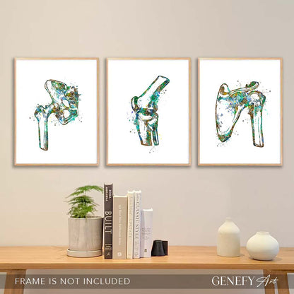 Hip Joint, Knee, Shoulder Bone Watercolour Print