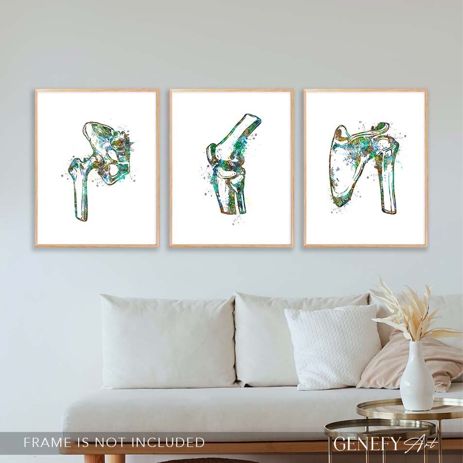 Hip Joint, Knee, Shoulder Bone Watercolour Print