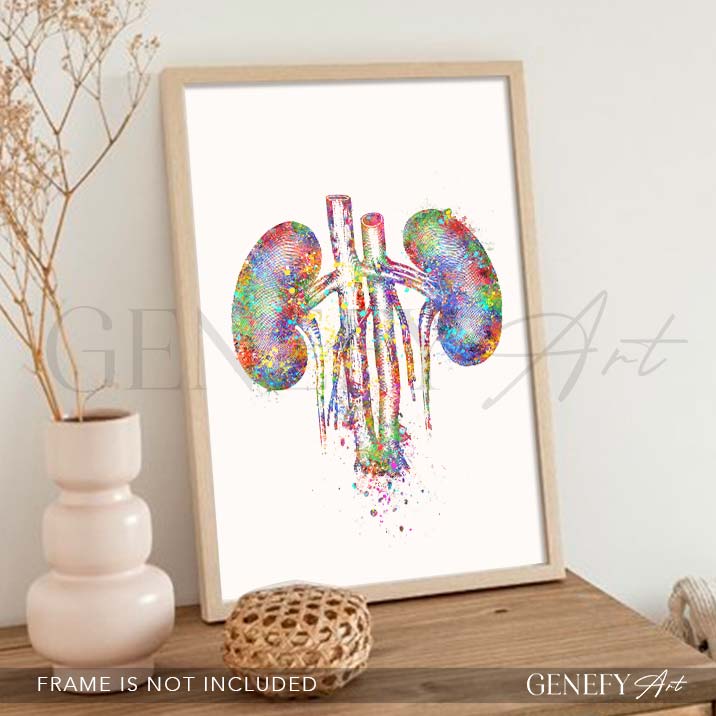 Kidneys Anatomy Watercolour Art Print