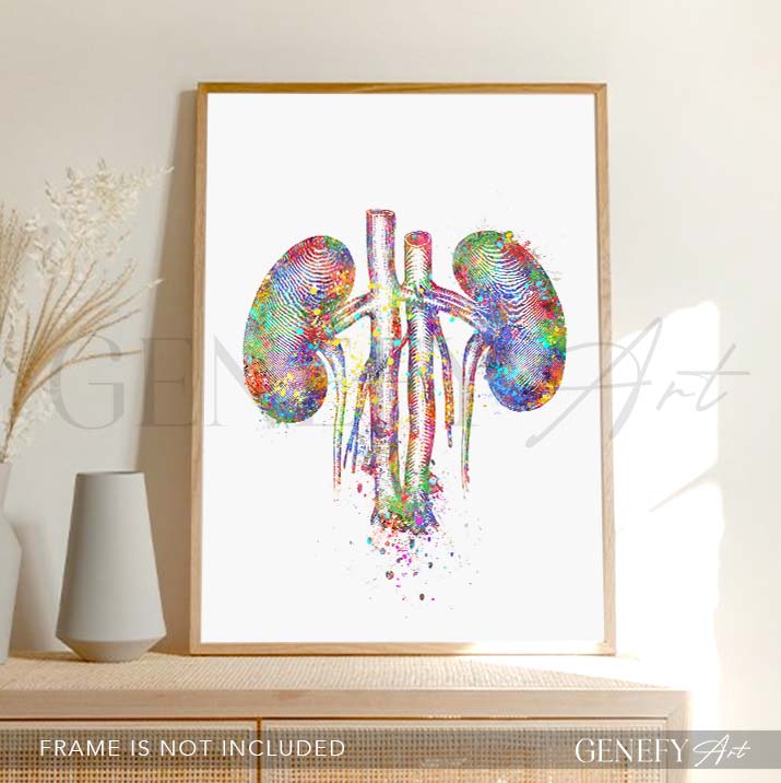 Kidneys Anatomy Watercolour Art Print