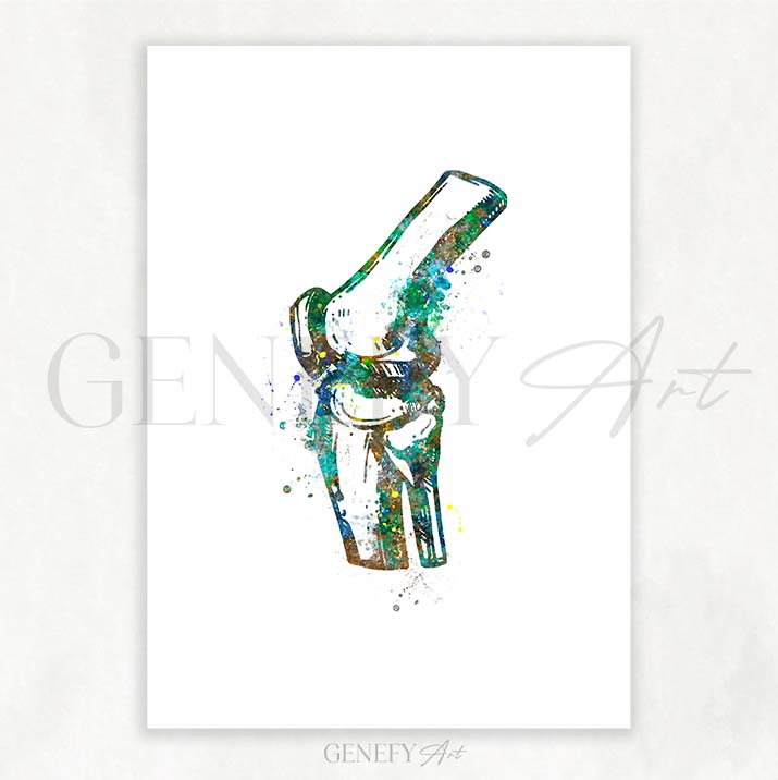 Knee Bone Anatomy Watercolour Print