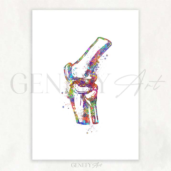 Knee Bone Anatomy Watercolour Print