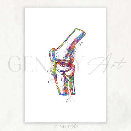 Knee Bone Anatomy Watercolour Print