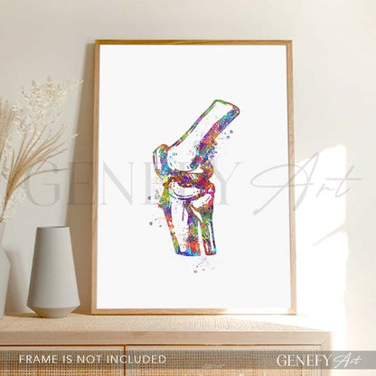 Knee Bone Anatomy Watercolour Print