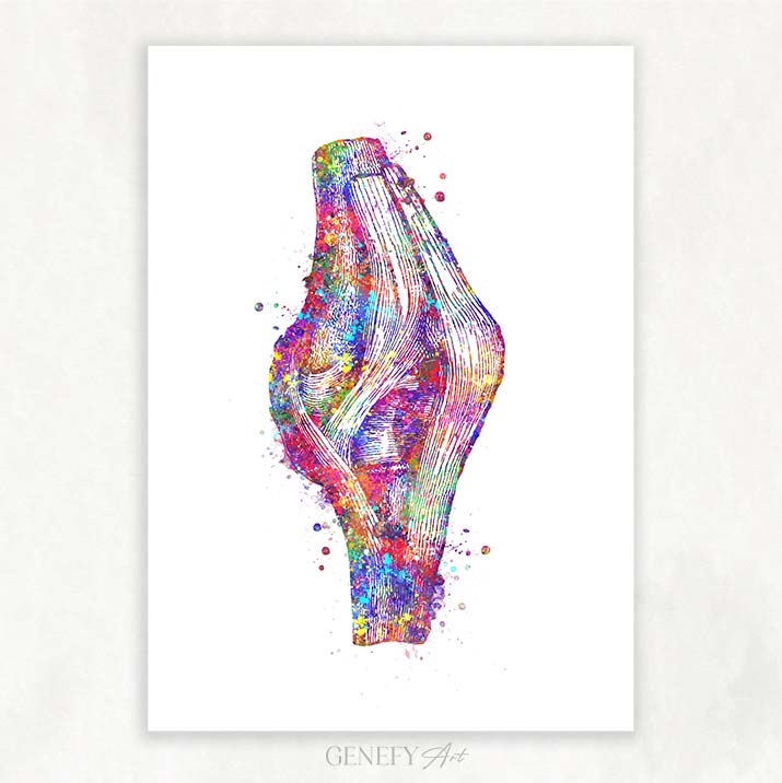 Knee Joint Watercolour Print