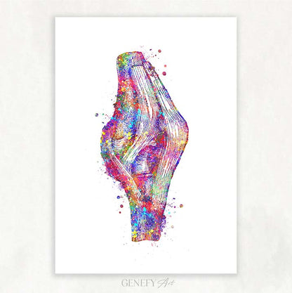 Knee Joint Watercolour Print