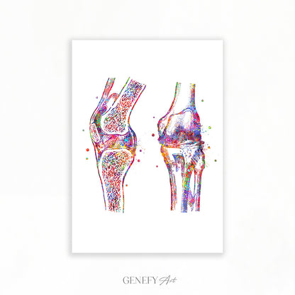 Knee Joint Watercolour Art Print