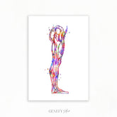 Human Leg and Foot Muscle Watercolour Print