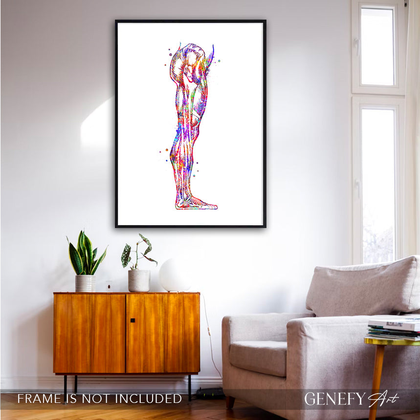Human Leg and Foot Muscle Watercolour Print