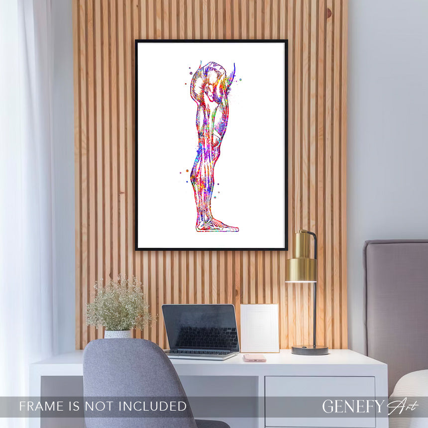 Human Leg and Foot Muscle Watercolour Print
