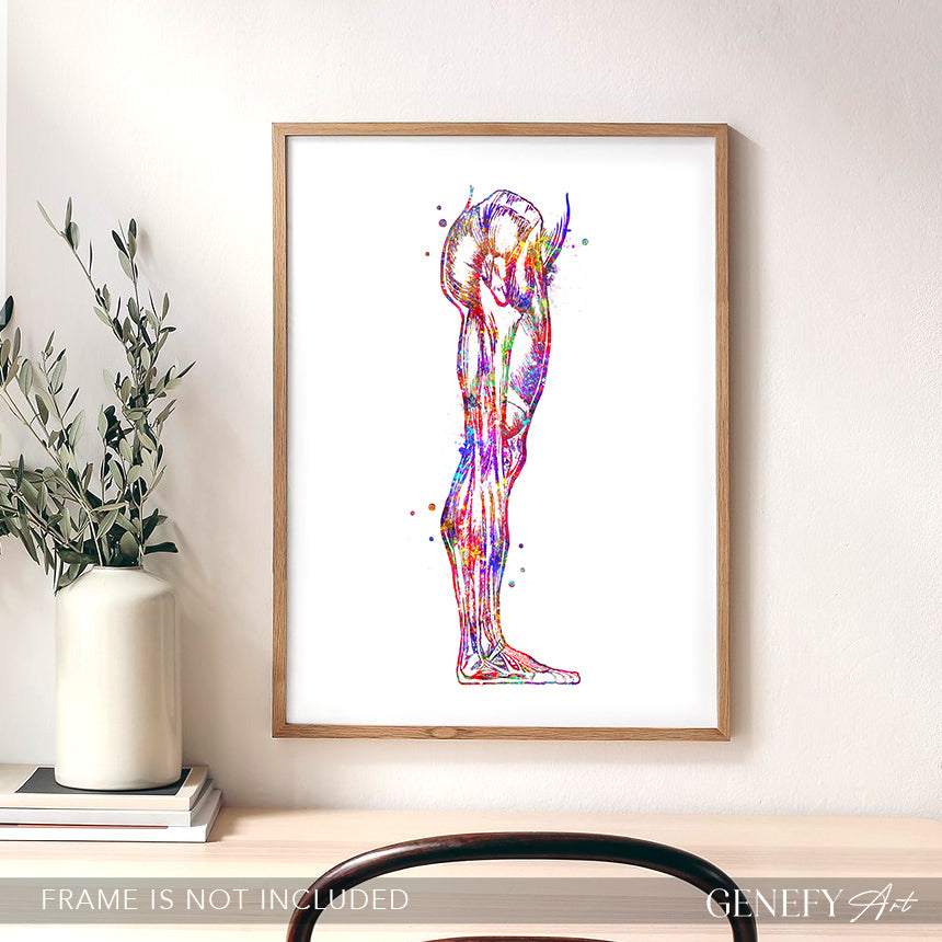Human Leg and Foot Muscle Watercolour Print