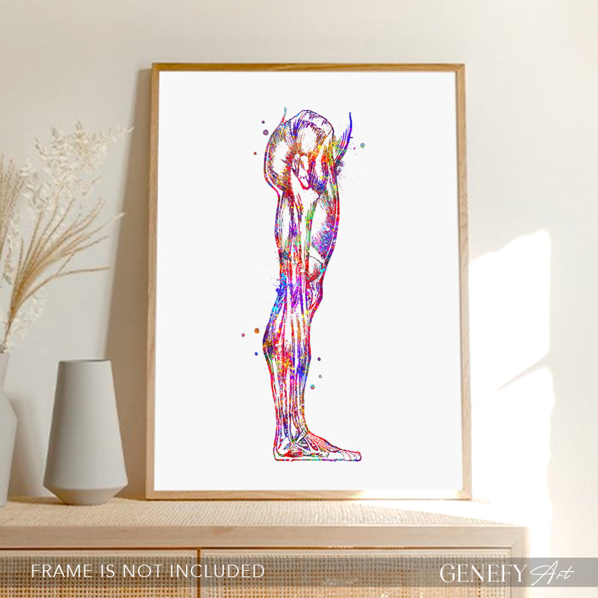 Human Leg and Foot Muscle Watercolour Print