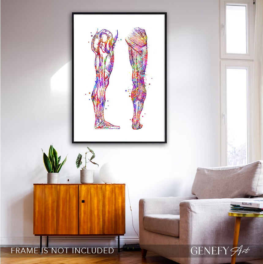 Human Leg and Foot Muscle Back and Side View Watercolour Print