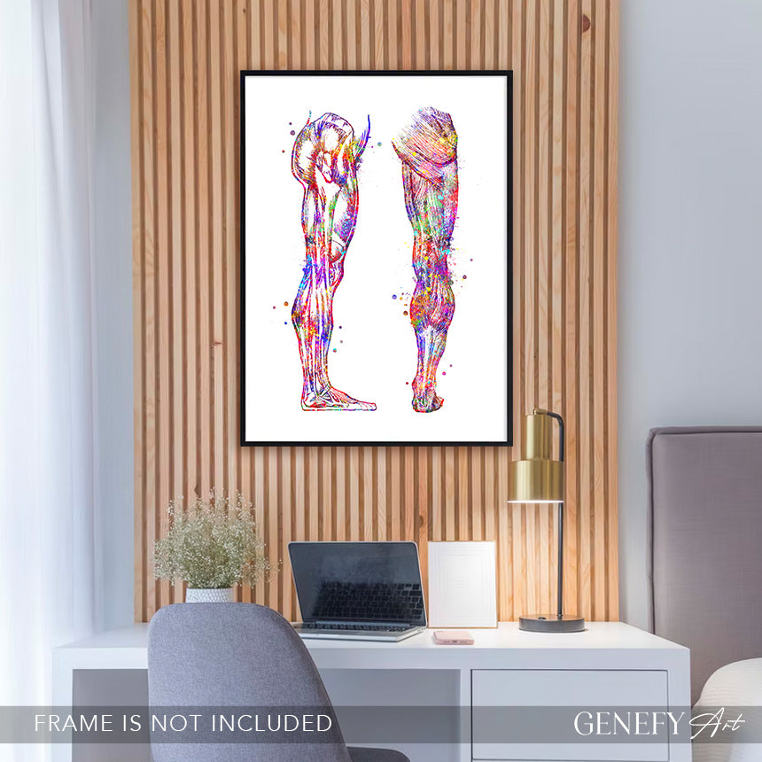 Human Leg and Foot Muscle Back and Side View Watercolour Print