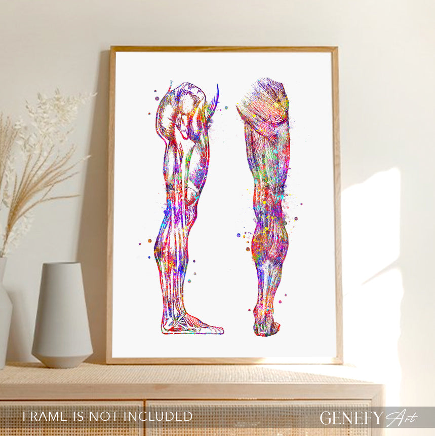 Human Leg and Foot Muscle Back and Side View Watercolour Print