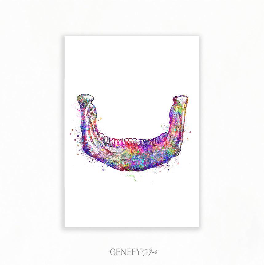 Lower Jaw Bone Art Print