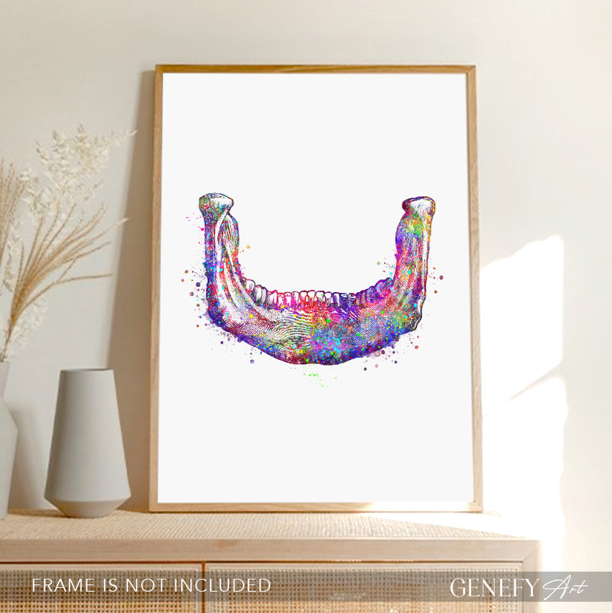 Lower Jaw Bone Art Print