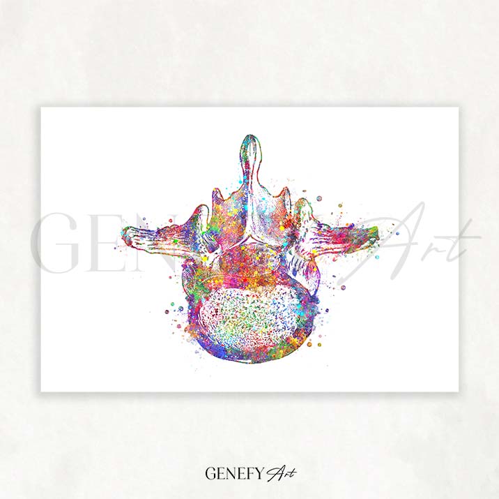 Lumbar Spine Cross Section Anatomy Watercolour Print - Genefy Art