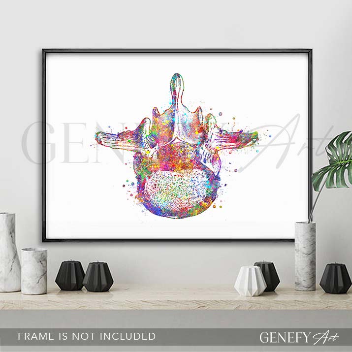 Lumbar Spine Cross Section Anatomy Watercolour Print - Genefy Art