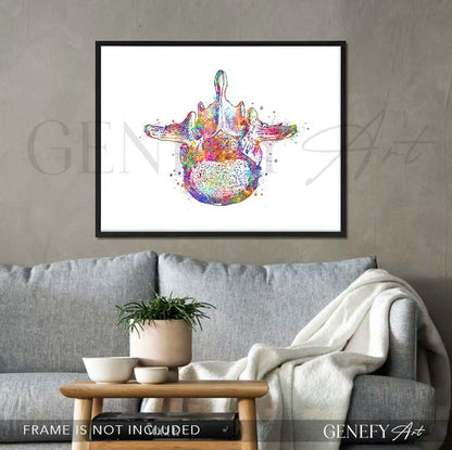 Lumbar Spine Cross Section Anatomy Watercolour Print - Genefy Art