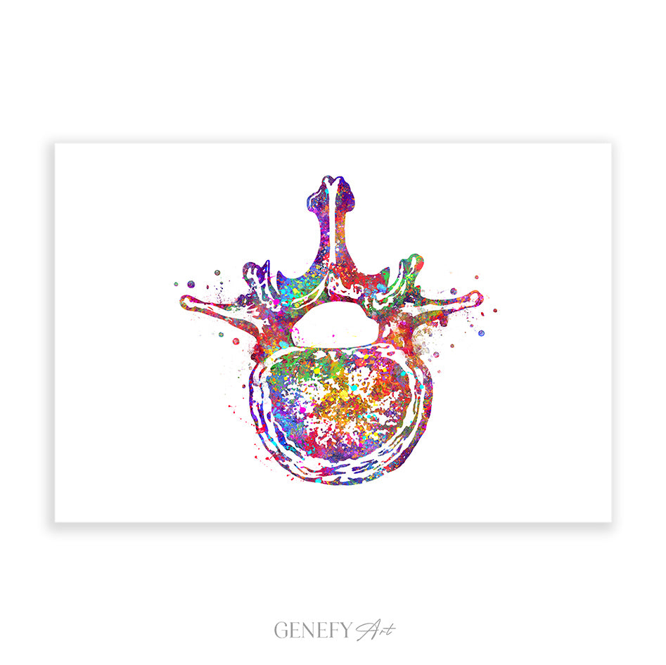 Lumbar Spine Cross Section Anatomy Watercolour Print