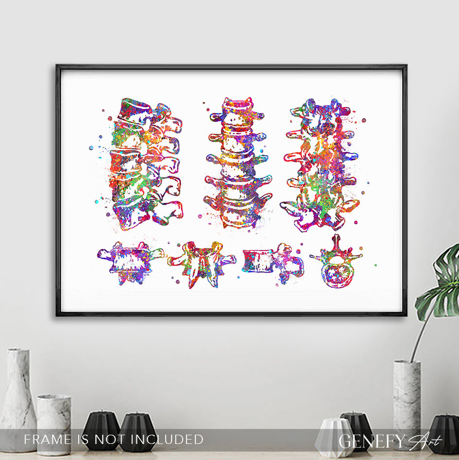 Lumbar Spine Vertebra Watercolour Art Print