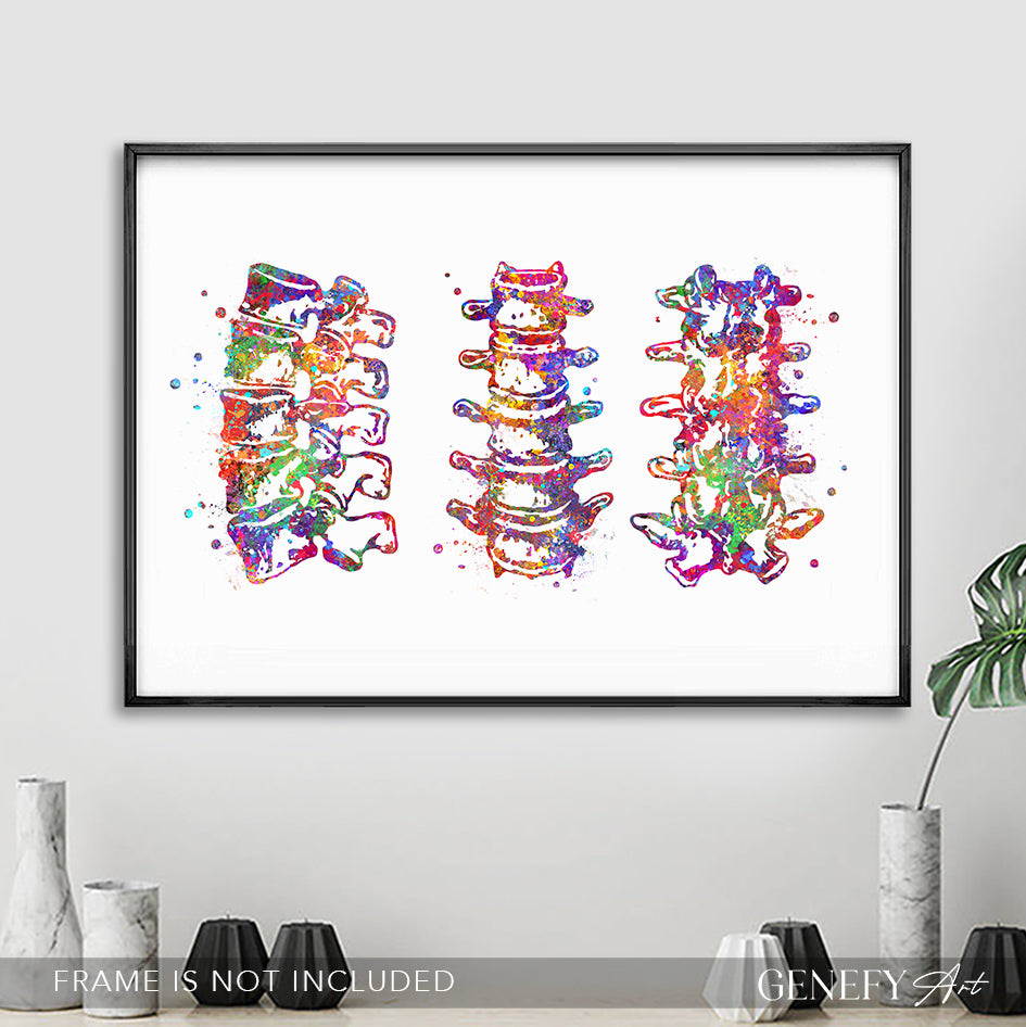 Lumbar Spine Vertebra Watercolour Art Print