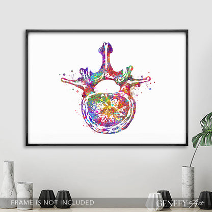 Lumbar Spine Cross Section Anatomy Watercolour Print