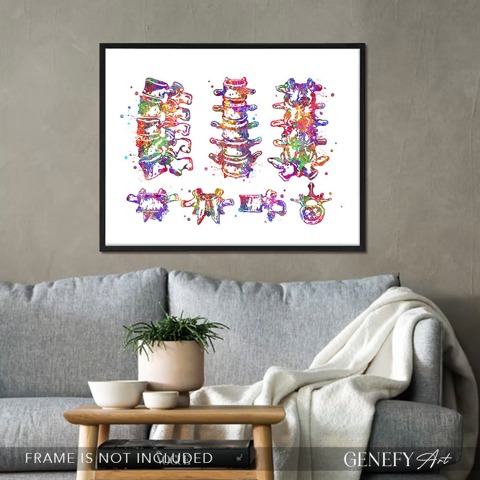 Lumbar Spine Vertebra Watercolour Art Print