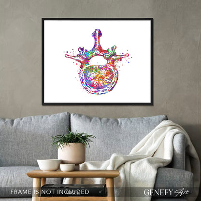 Lumbar Spine Cross Section Anatomy Watercolour Print