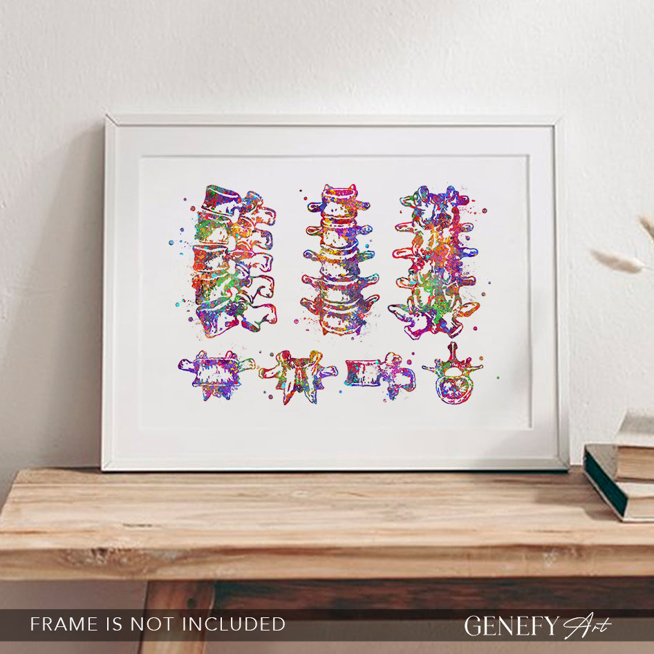Lumbar Spine Vertebra Watercolour Art Print