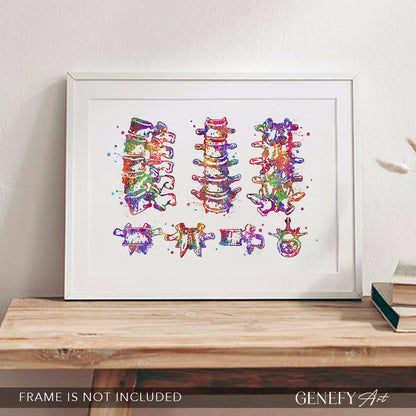 Lumbar Spine Vertebra Watercolour Art Print