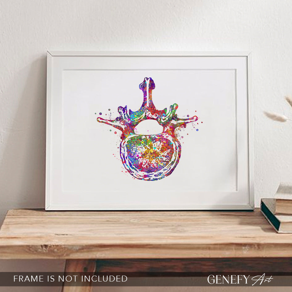 Lumbar Spine Cross Section Anatomy Watercolour Print