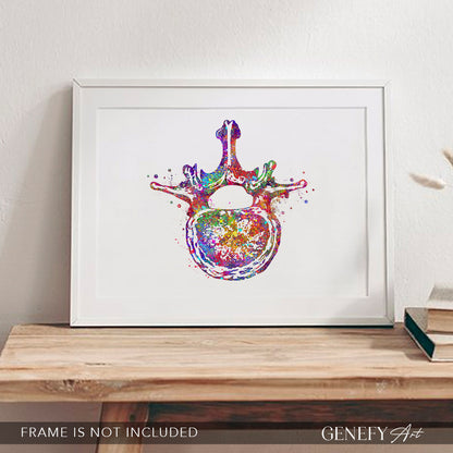 Lumbar Spine Cross Section Anatomy Watercolour Print
