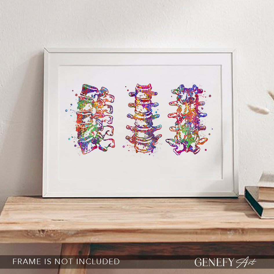Lumbar Spine Vertebra Watercolour Art Print