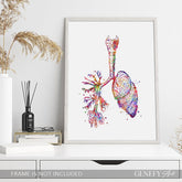 Lungs Anatomy Watercolour Art Print