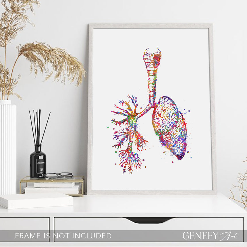 Lungs Anatomy Watercolour Art Print