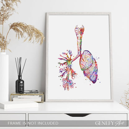Lungs Anatomy Watercolour Art Print