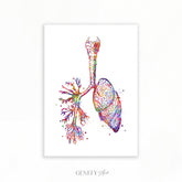 Lungs Anatomy Watercolour Art Print