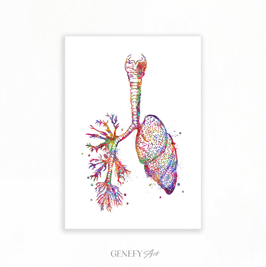 Lungs Anatomy Watercolour Art Print