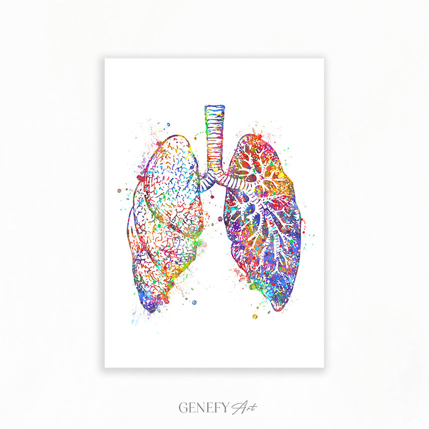 Lungs Anatomy Watercolour Art Print